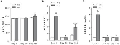 Renal Inflammation and Innate Immune Activation Underlie the Transition From Gentamicin-Induced Acute Kidney Injury to Renal Fibrosis